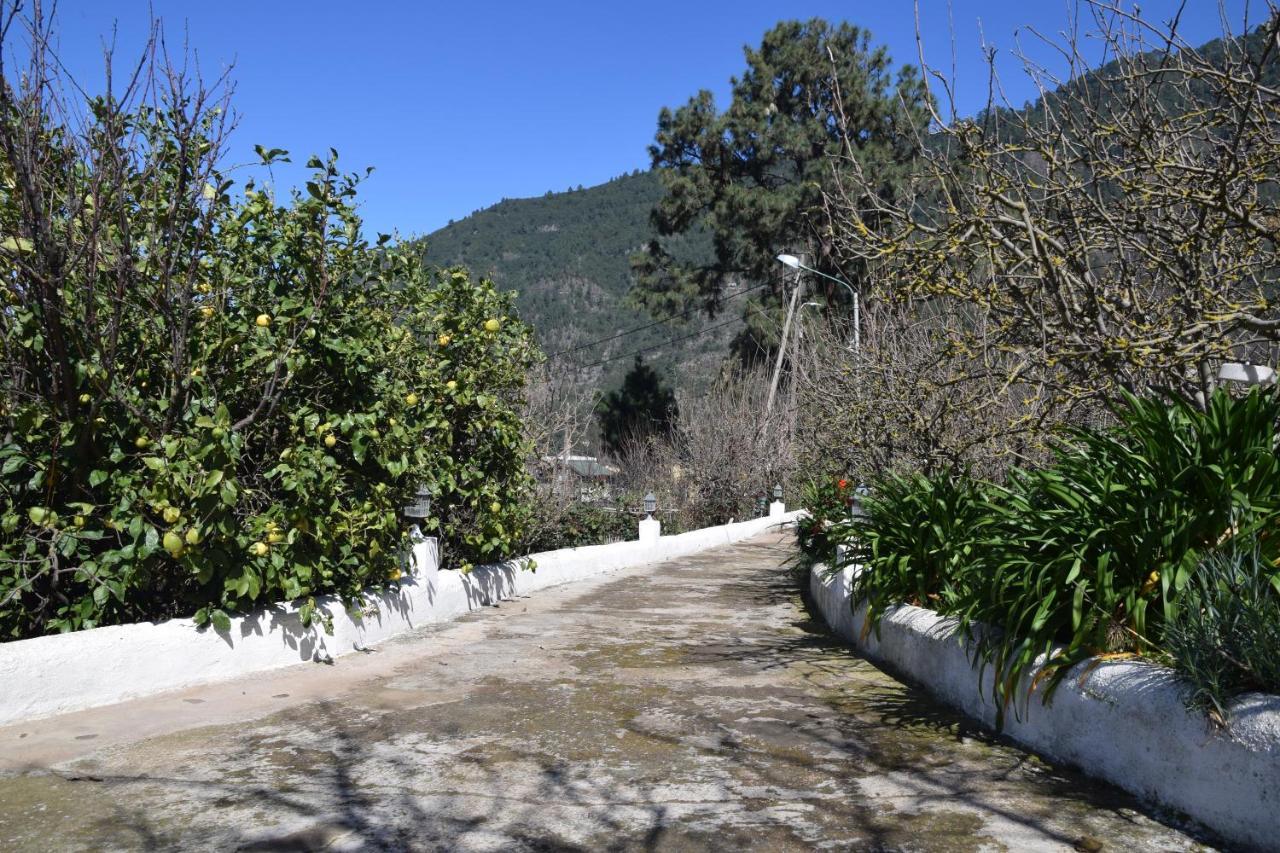 Casa Rural Juli Santa Cruz de Tenerife Eksteriør bilde